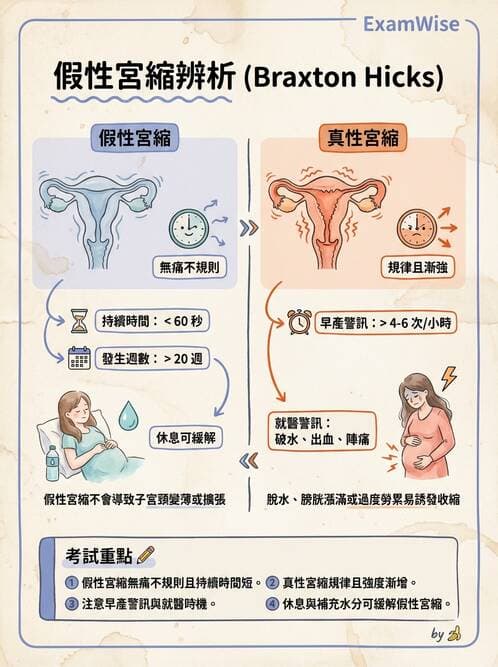 護理師 - 孕期生理變化與不適護理 - AI 圖文解析預覽