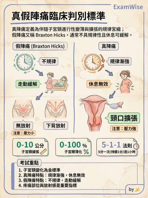 護理師 - 產程機轉與待產護理 - AI 圖文解析預覽