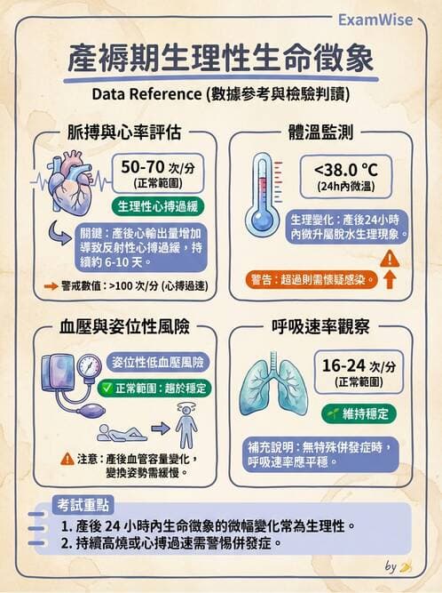 護理師 - 產後生理恢復與護理 - AI 圖文解析預覽