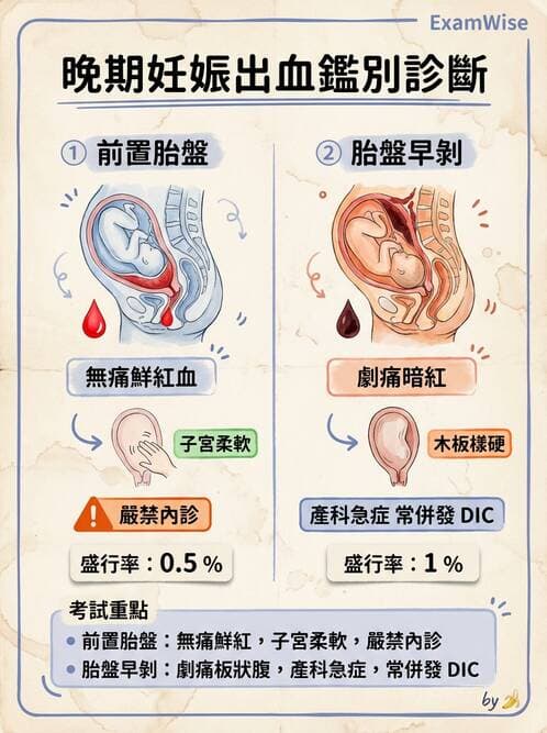 護理師 - 高危險妊娠 - AI 圖文解析預覽