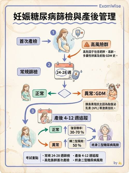 護理師 - 高危險妊娠 - AI 圖文解析預覽
