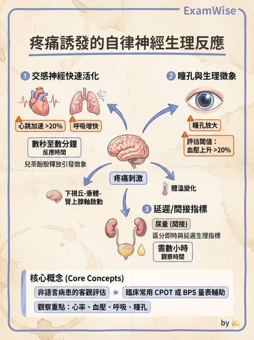護理師 - 兒童基本護理評估技術 - AI 圖文解析預覽