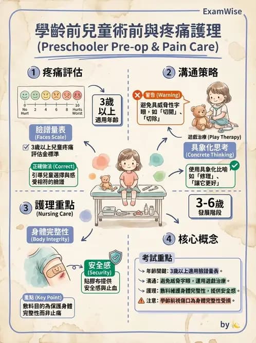 護理師 - 兒童基本護理評估技術 - AI 圖文解析預覽