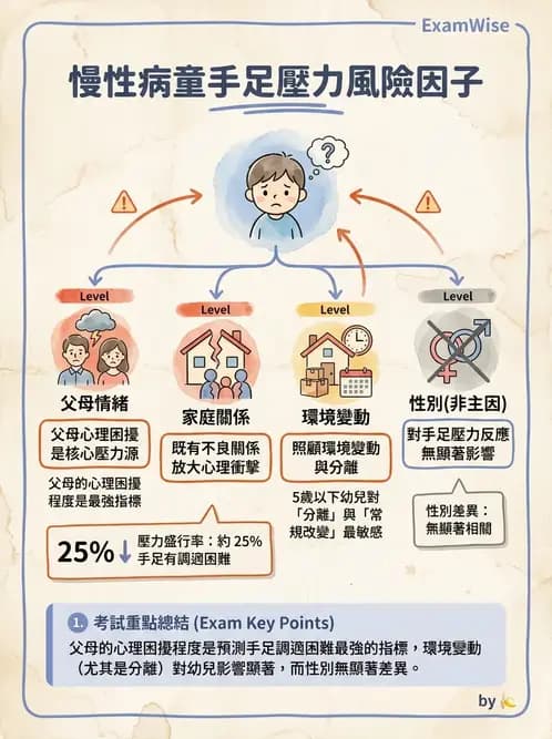 護理師 - 兒童心理社會發展與遊戲 - AI 圖文解析預覽