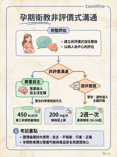 護理師 - 孕期營養心理與衛生政策 - AI 圖文解析預覽