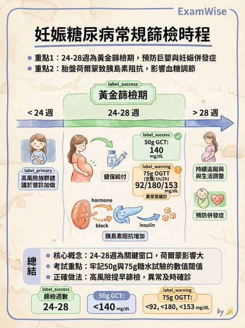 護理師 - 孕期生理變化與不適護理 - AI 圖文解析預覽