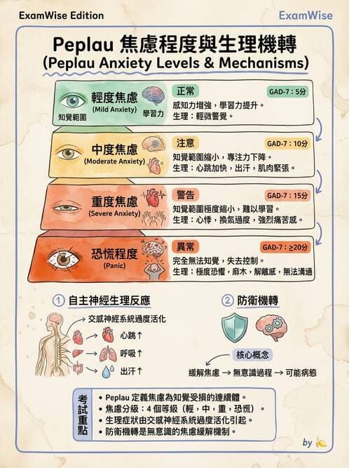 護理師 - 焦慮症與壓力相關障礙 - AI 圖文解析預覽