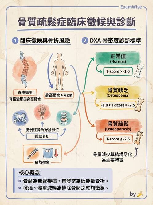 護理師 - 骨骼肌肉系統 - AI 圖文解析預覽