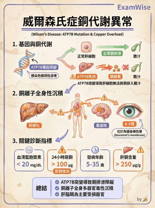 護理師 - 腫瘤及遺傳疾病 - AI 圖文解析預覽