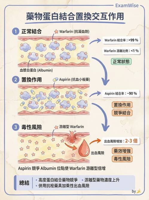 護理師 - 自泌素及藥物 - AI 圖文解析預覽