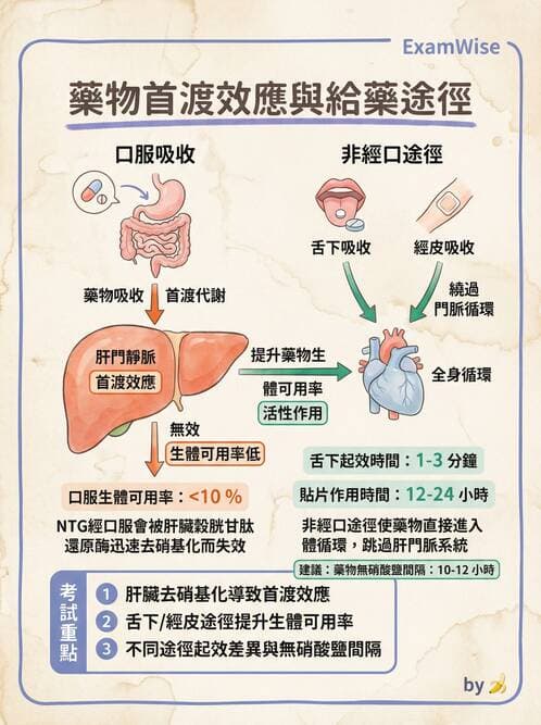 護理師 - 抗高血壓與血管藥物 - AI 圖文解析預覽