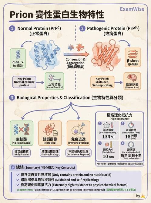 護理師 - 病毒學概念、prion - AI 圖文解析預覽
