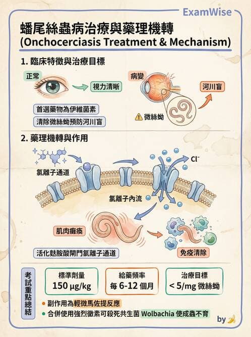 護理師 - 寄生蟲概論 - AI 圖文解析預覽