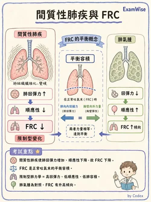 呼吸治療師 - 通氣、呼吸力學與控制 - AI 圖文解析預覽