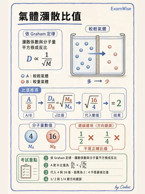 呼吸治療師 - 氣體擴散、交換與肺部代謝 - AI 圖文解析預覽