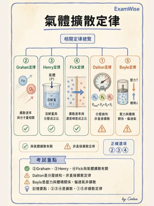 呼吸治療師 - 氣體擴散、交換與肺部代謝 - AI 圖文解析預覽