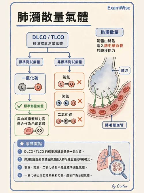 呼吸治療師 - 氣體擴散、交換與肺部代謝 - AI 圖文解析預覽