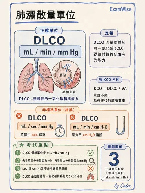 呼吸治療師 - 氣體擴散、交換與肺部代謝 - AI 圖文解析預覽