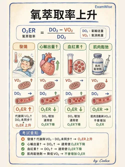 呼吸治療師 - 氣體擴散、交換與肺部代謝 - AI 圖文解析預覽