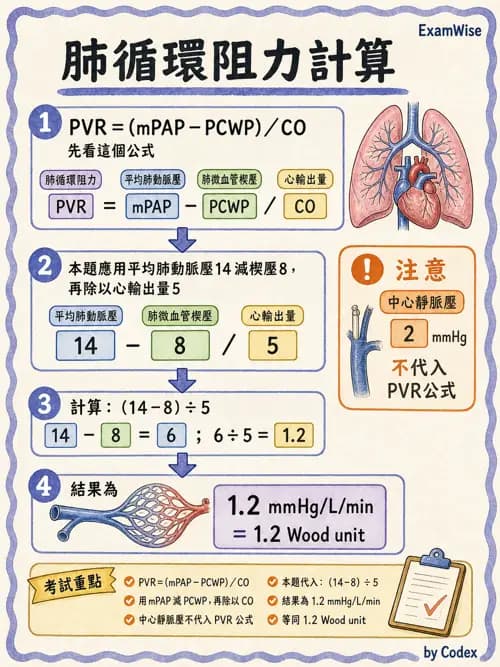 呼吸治療師 - 心臟生理與血液動力學 - AI 圖文解析預覽