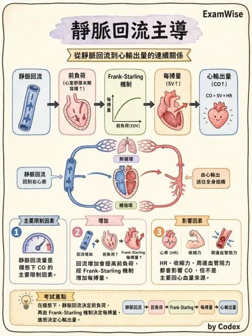 呼吸治療師 - 心臟生理與血液動力學 - AI 圖文解析預覽