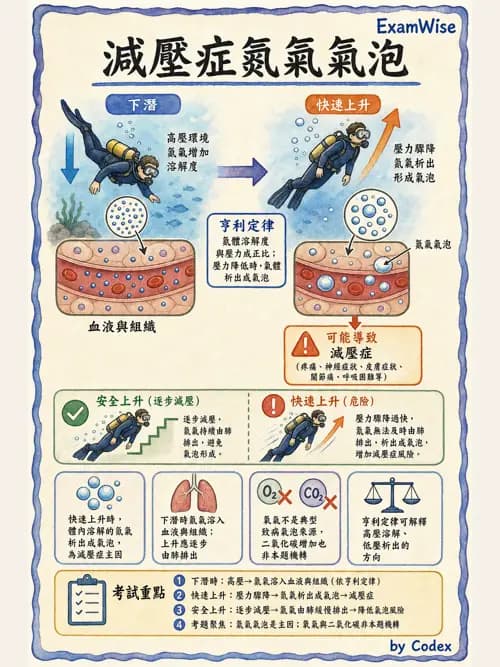 呼吸治療師 - 運動與環境生理 - AI 圖文解析預覽
