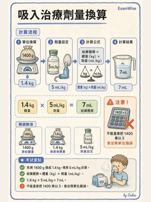 呼吸治療師 - 呼吸系統藥物 - AI 圖文解析預覽