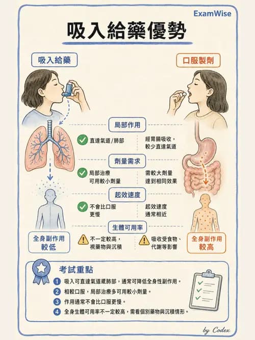 呼吸治療師 - 呼吸系統藥物 - AI 圖文解析預覽