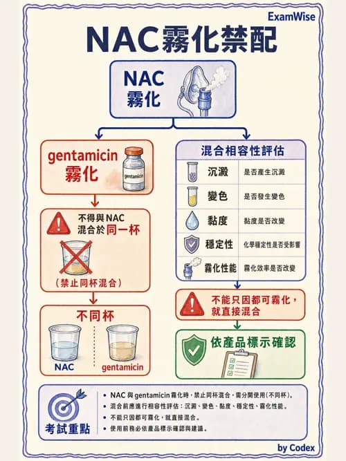 呼吸治療師 - 呼吸系統藥物 - AI 圖文解析預覽