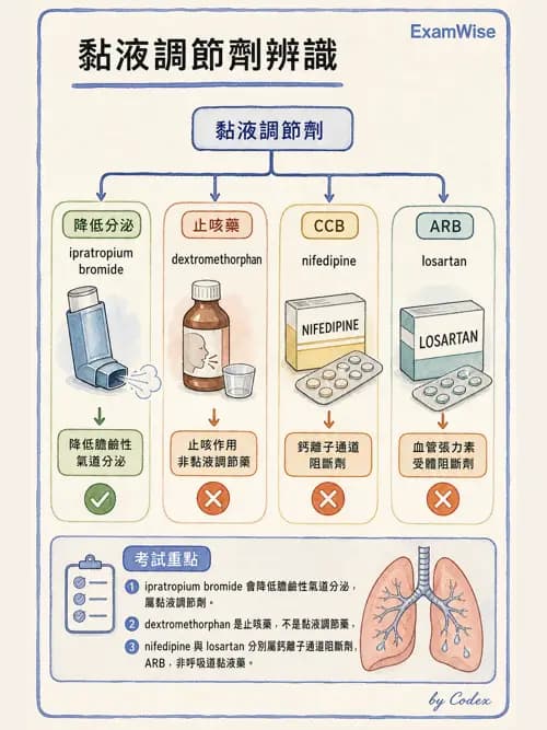 呼吸治療師 - 呼吸系統藥物 - AI 圖文解析預覽