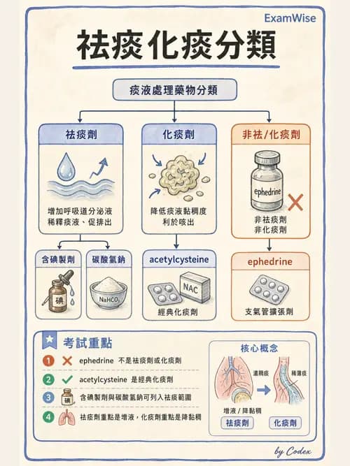 呼吸治療師 - 呼吸系統藥物 - AI 圖文解析預覽