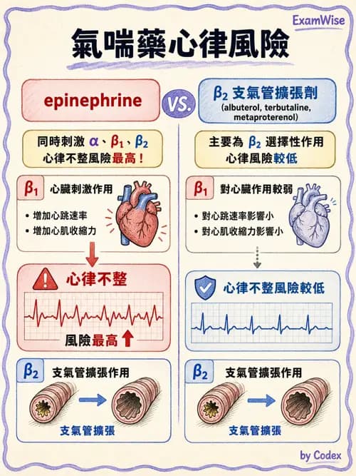 呼吸治療師 - 呼吸系統藥物 - AI 圖文解析預覽