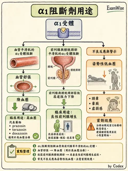 呼吸治療師 - 心臟血管藥物 - AI 圖文解析預覽