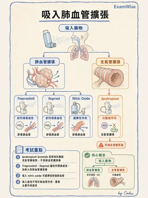 呼吸治療師 - 氣體輸送系統與氧氣治療 - AI 圖文解析預覽