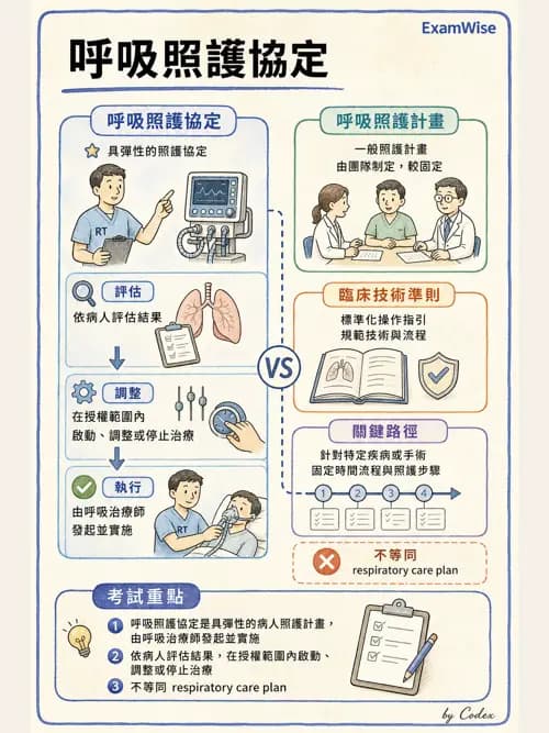 呼吸治療師 - 呼吸治療臨床作業與身體評估 - AI 圖文解析預覽