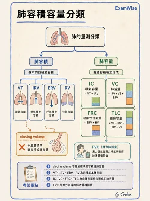 呼吸治療師 - 呼吸功能檢查 - AI 圖文解析預覽