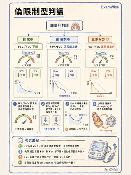 呼吸治療師 - 呼吸功能檢查 - AI 圖文解析預覽