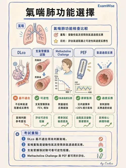 呼吸治療師 - 呼吸功能檢查 - AI 圖文解析預覽