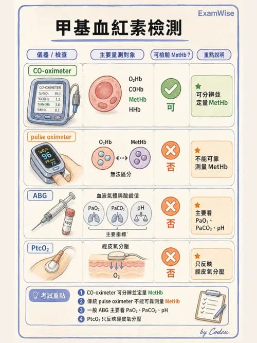 呼吸治療師 - 動脈血液氣體分析與氧合評估 - AI 圖文解析預覽