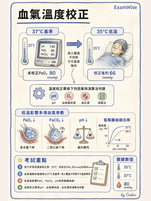 呼吸治療師 - 動脈血液氣體分析與氧合評估 - AI 圖文解析預覽