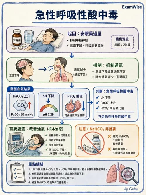呼吸治療師 - 動脈血液氣體分析與氧合評估 - AI 圖文解析預覽