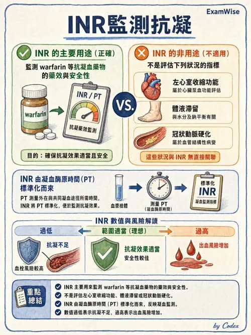 呼吸治療師 - 心血管評估與實驗室檢查 - AI 圖文解析預覽