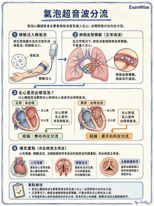 呼吸治療師 - 心血管評估與實驗室檢查 - AI 圖文解析預覽