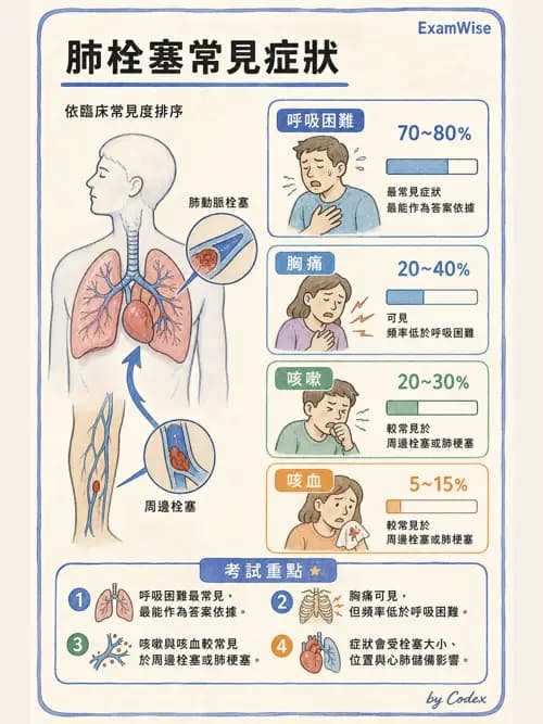 呼吸治療師 - 心血管評估與實驗室檢查 - AI 圖文解析預覽
