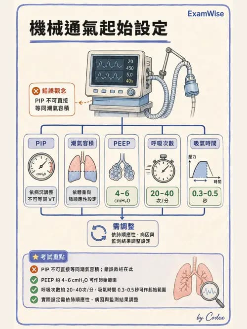 呼吸治療師 - 長期呼吸照護 - AI 圖文解析預覽