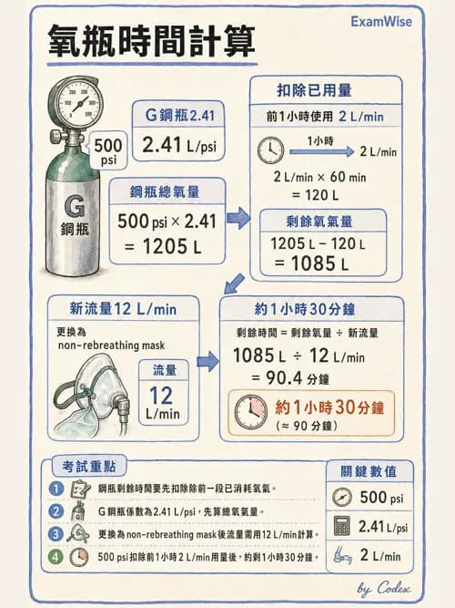 呼吸治療師 - 氣體輸送系統與氧氣治療 - AI 圖文解析預覽