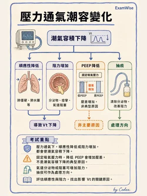 呼吸治療師 - 長期呼吸照護 - AI 圖文解析預覽