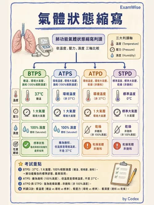 呼吸治療師 - 濕氣與霧氣治療 - AI 圖文解析預覽