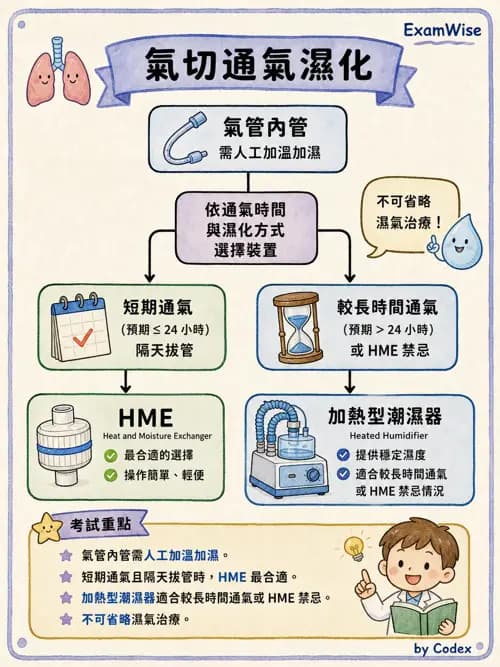 呼吸治療師 - 濕氣與霧氣治療 - AI 圖文解析預覽