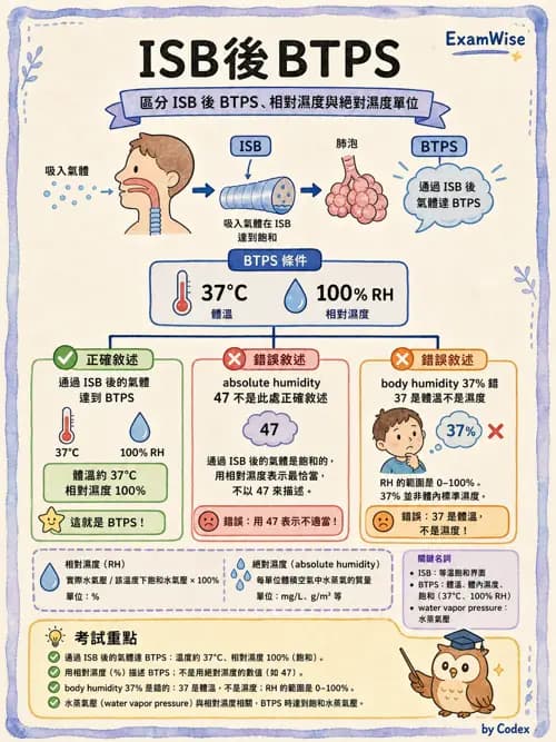 呼吸治療師 - 濕氣與霧氣治療 - AI 圖文解析預覽